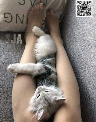 年轻的大嫂_BD韩语在线视频观看