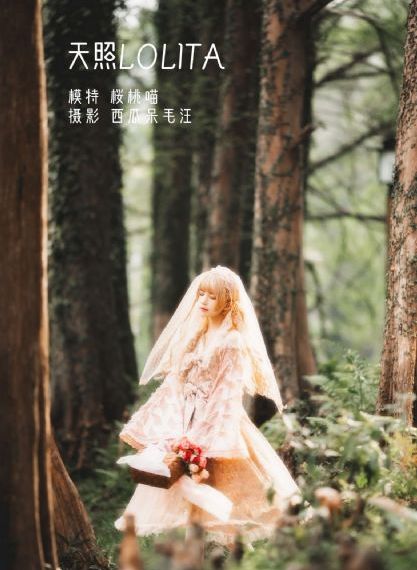 老米家的婚事 电视剧_DVD高清迅雷在线观看